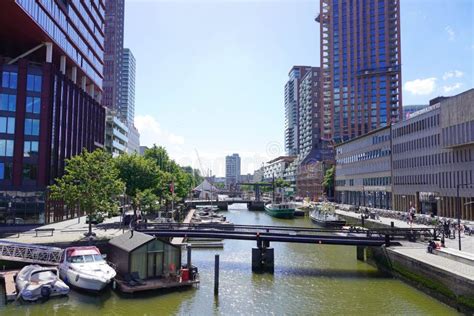 sunny rotterdam|Sunny .
